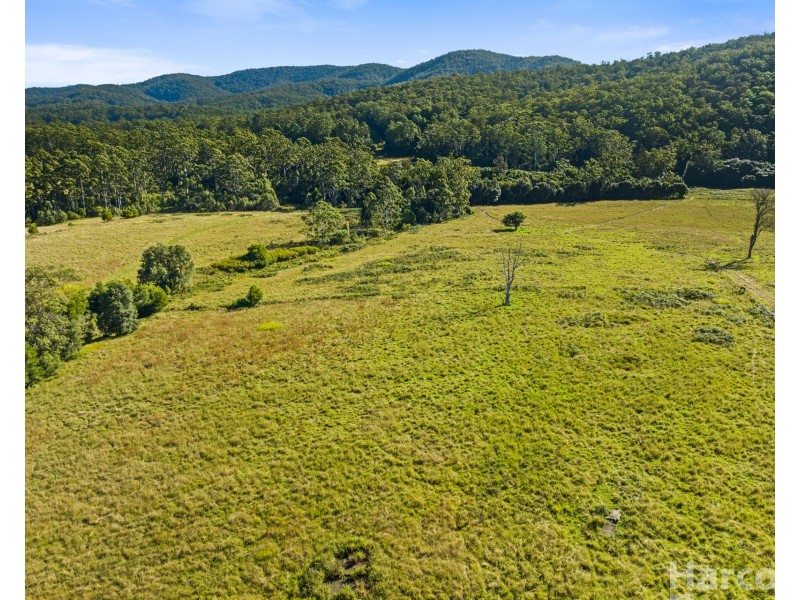 41 Fishers Ridge, Bellangry NSW 2446