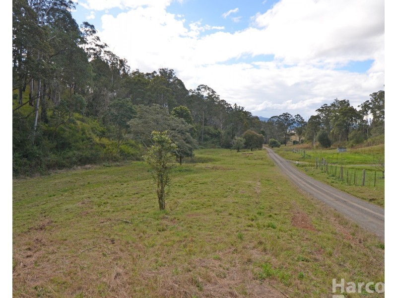 355 Costigans Road, Yarras NSW 2446