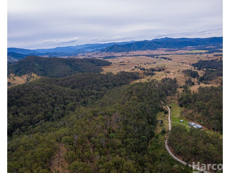 355 Costigans Road, Yarras NSW 2446