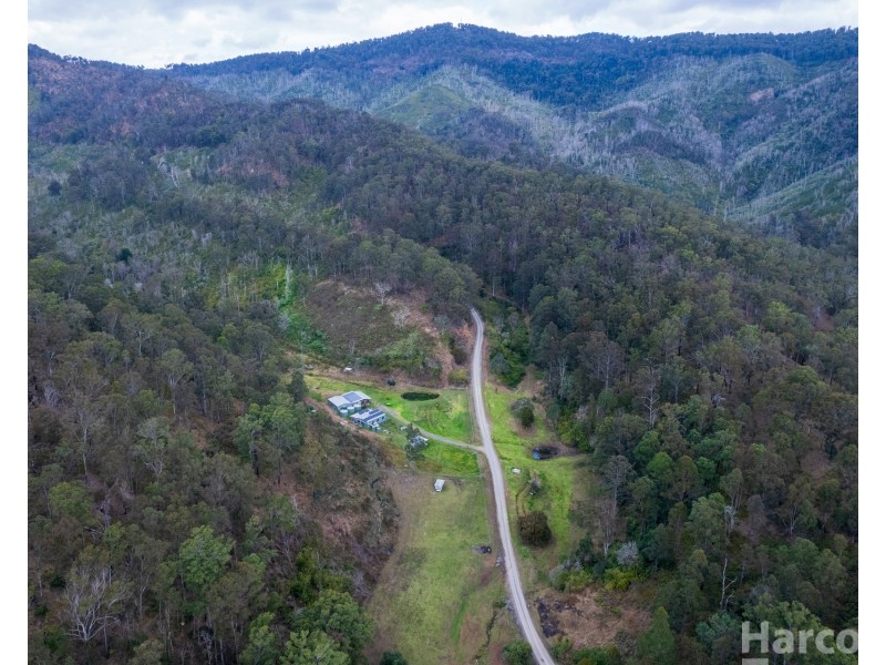 355 Costigans Road, Yarras NSW 2446