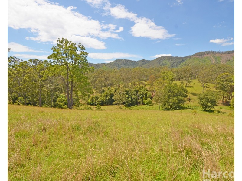 Lot 13, 82 Figtree Valley Road, Yarras NSW 2446