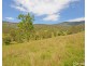 Lot 13, 82 Figtree Valley Road, Yarras NSW 2446