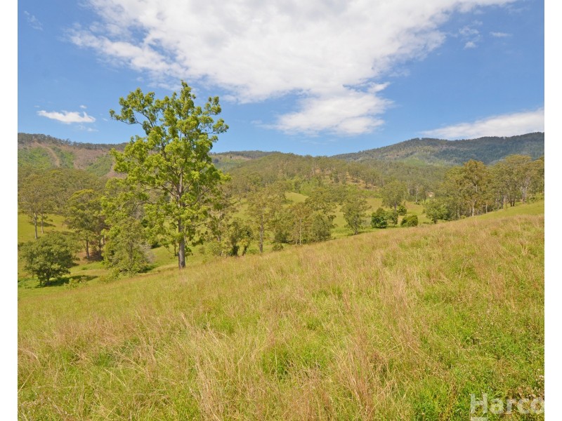 Lot 13, 82 Figtree Valley Road, Yarras NSW 2446