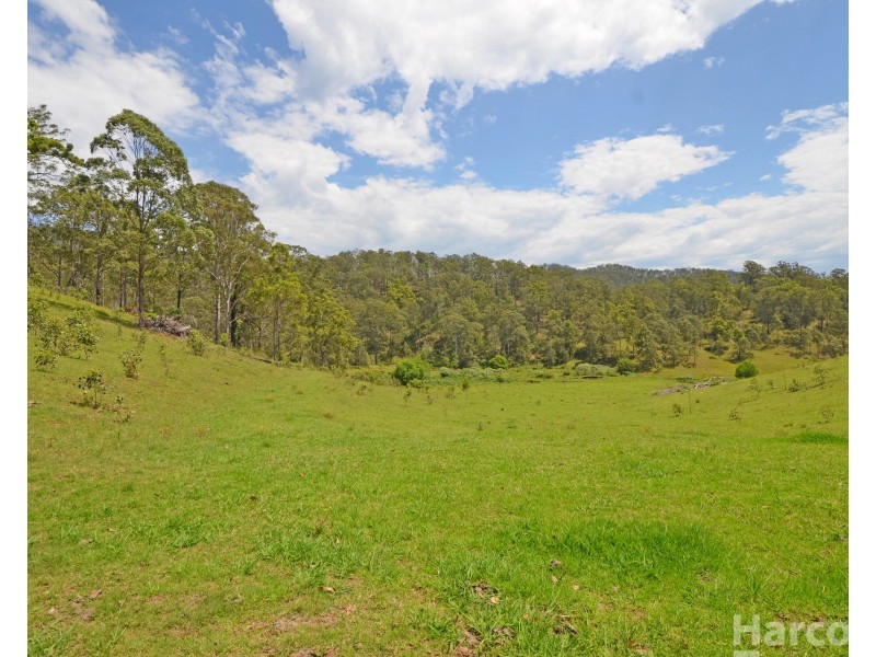 Lot 13, 82 Figtree Valley Road, Yarras NSW 2446