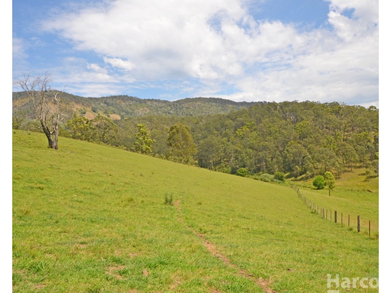 Lot 13, 82 Figtree Valley Road, Yarras NSW 2446