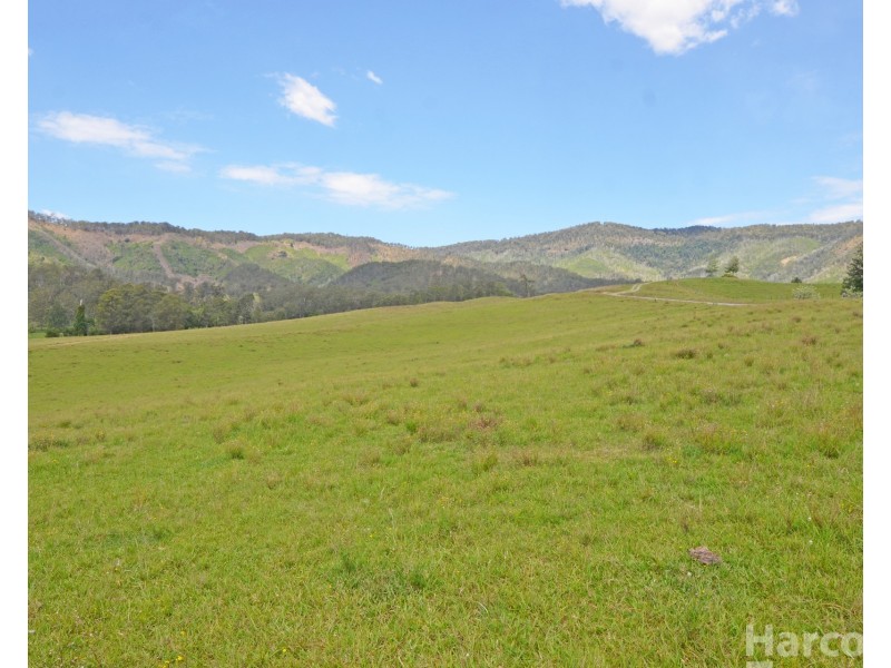 Lot 13, 82 Figtree Valley Road, Yarras NSW 2446
