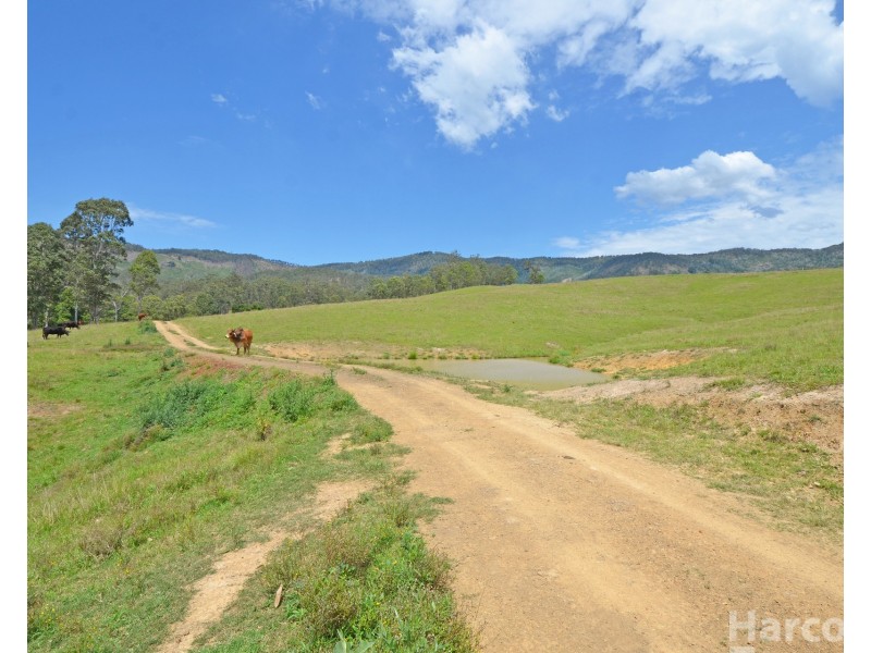 Lot 13, 82 Figtree Valley Road, Yarras NSW 2446