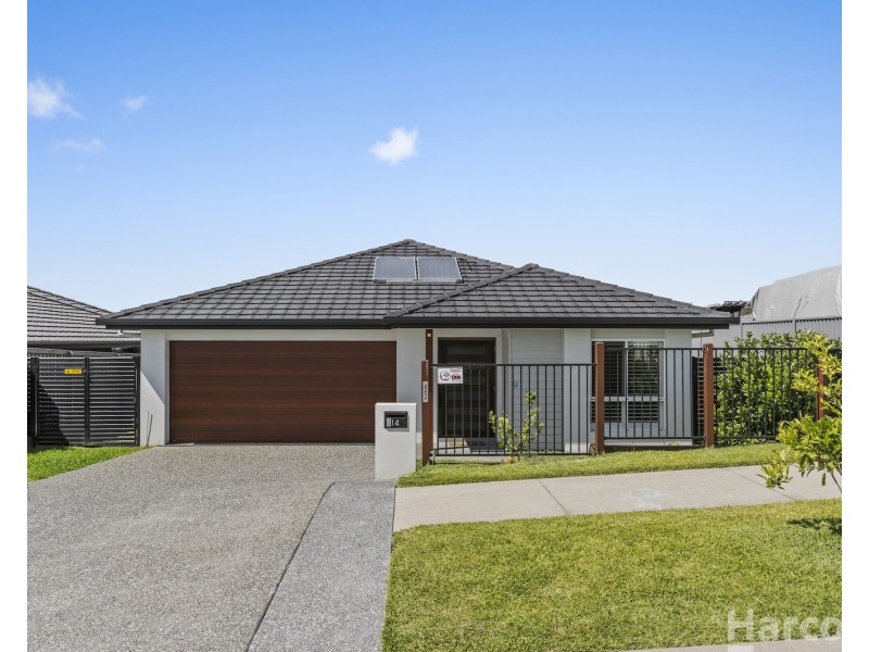 14 Meares Circuit, Thrumster NSW 2444