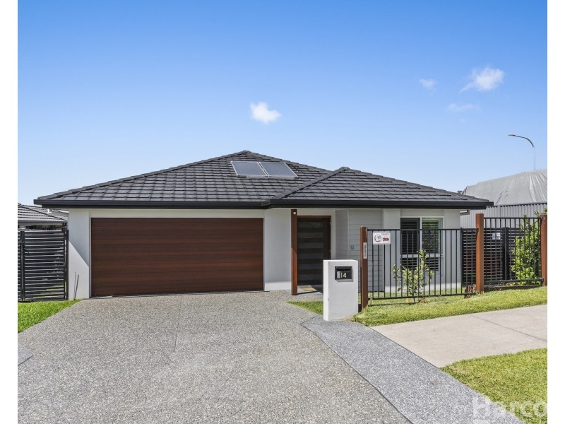 14 Meares Circuit, Thrumster NSW 2444