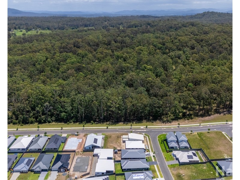 Lot 321, 59 Neave Way, Thrumster NSW 2444