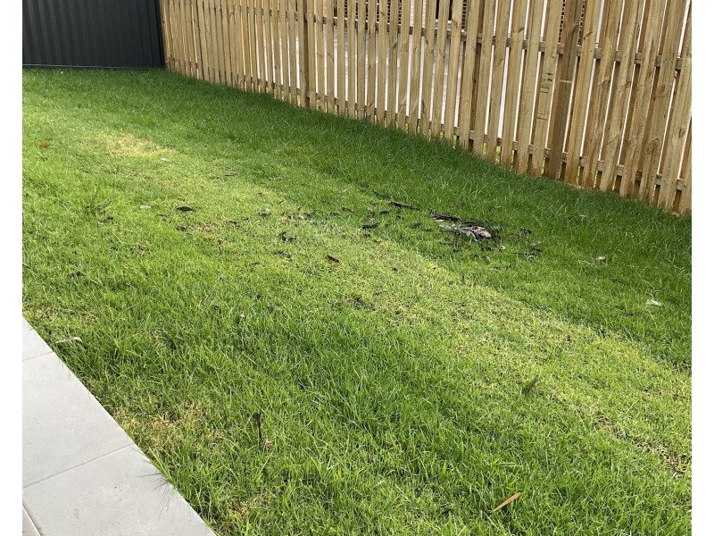 10 Strathallan Avenue, Thrumster NSW 2444