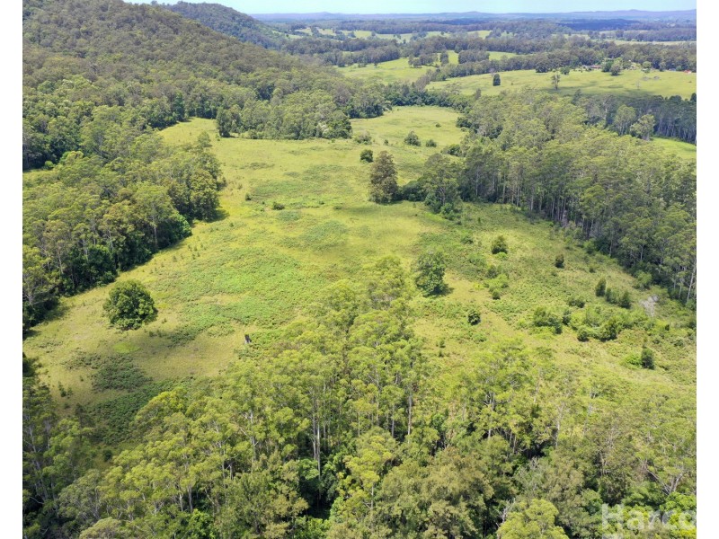 133 Letterbox Road, Bellangry NSW 2446