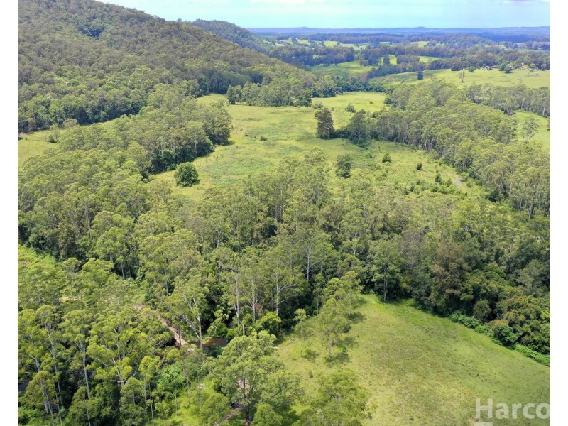 133 Letterbox Road, Bellangry NSW 2446