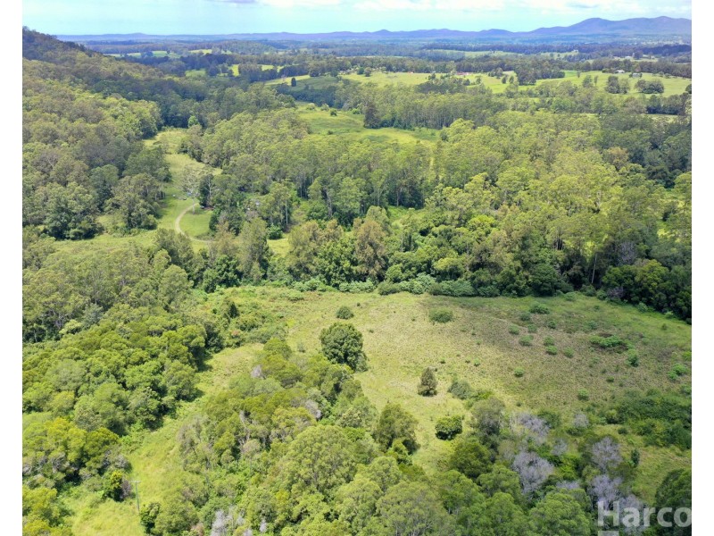 133 Letterbox Road, Bellangry NSW 2446