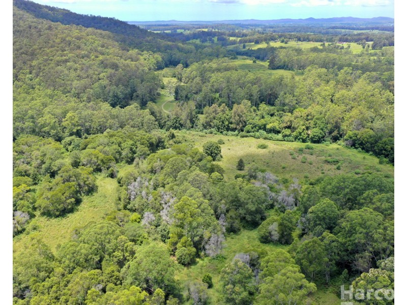 133 Letterbox Road, Bellangry NSW 2446