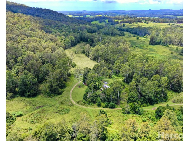 133 Letterbox Road, Bellangry NSW 2446