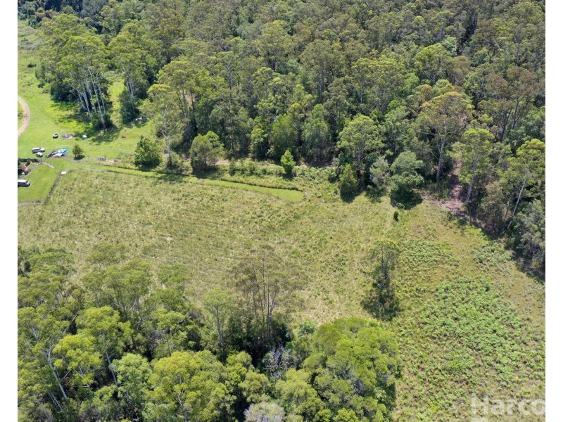 133 Letterbox Road, Bellangry NSW 2446