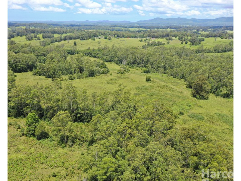 133 Letterbox Road, Bellangry NSW 2446