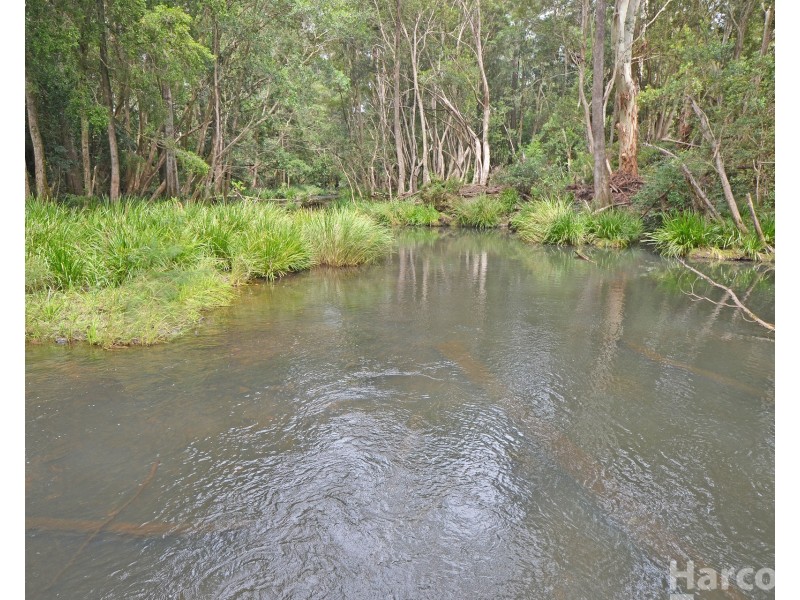 133 Letterbox Road, Bellangry NSW 2446