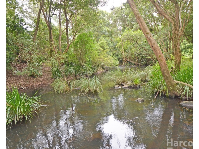 133 Letterbox Road, Bellangry NSW 2446