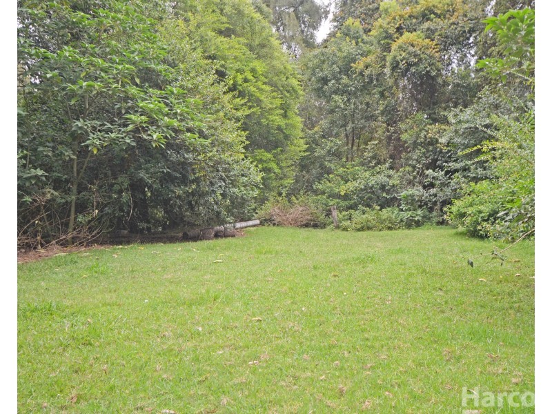 133 Letterbox Road, Bellangry NSW 2446