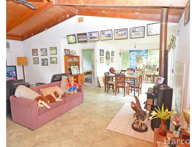 133 Letterbox Road, Bellangry NSW 2446