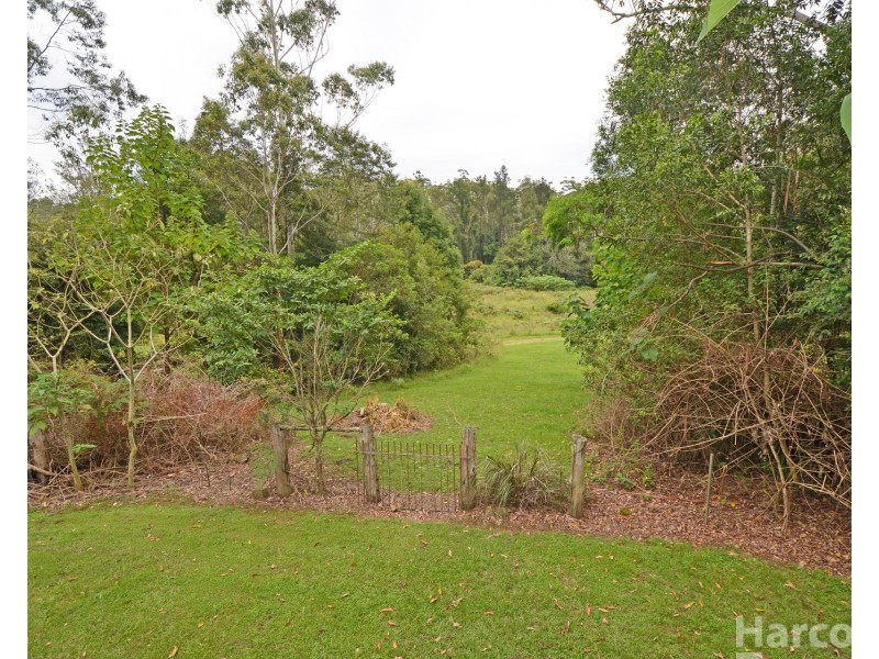 133 Letterbox Road, Bellangry NSW 2446