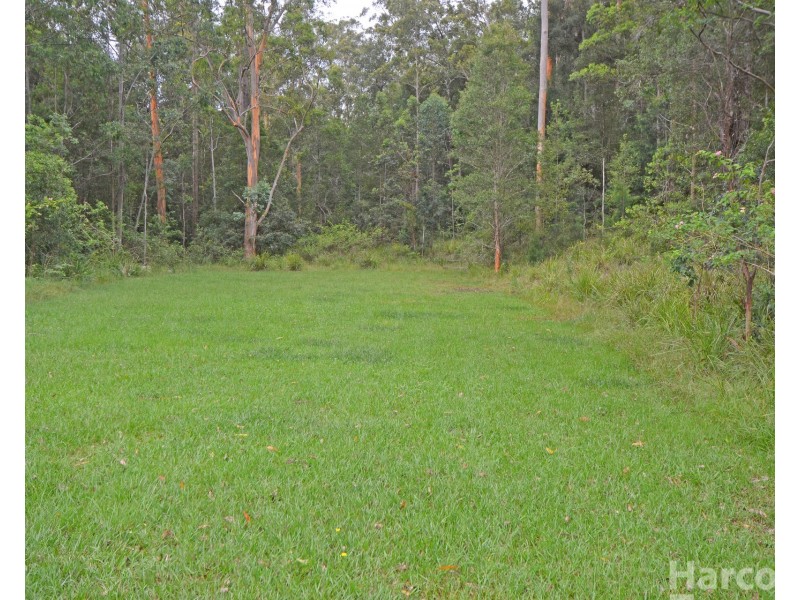 133 Letterbox Road, Bellangry NSW 2446