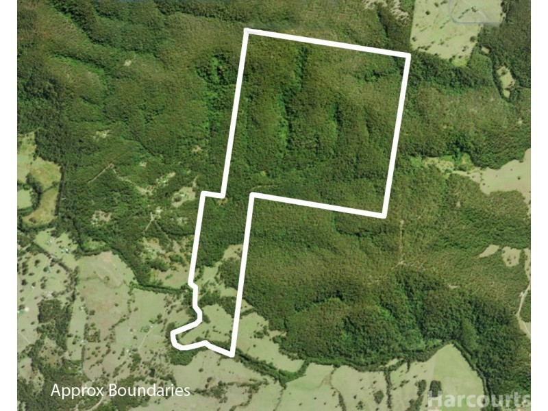 133 Letterbox Road, Bellangry NSW 2446