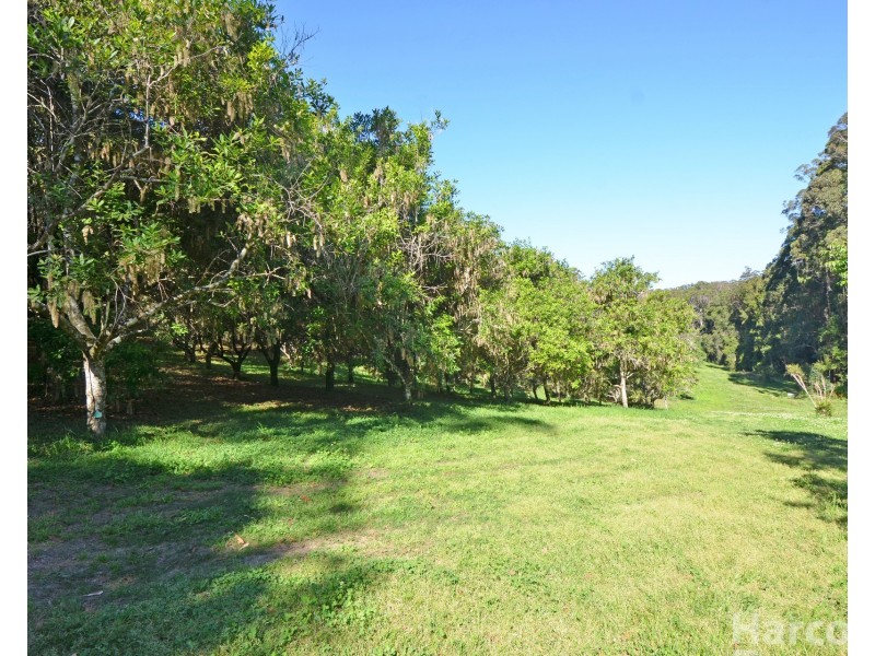 137 Browns Road, Yarrahapinni NSW 2441