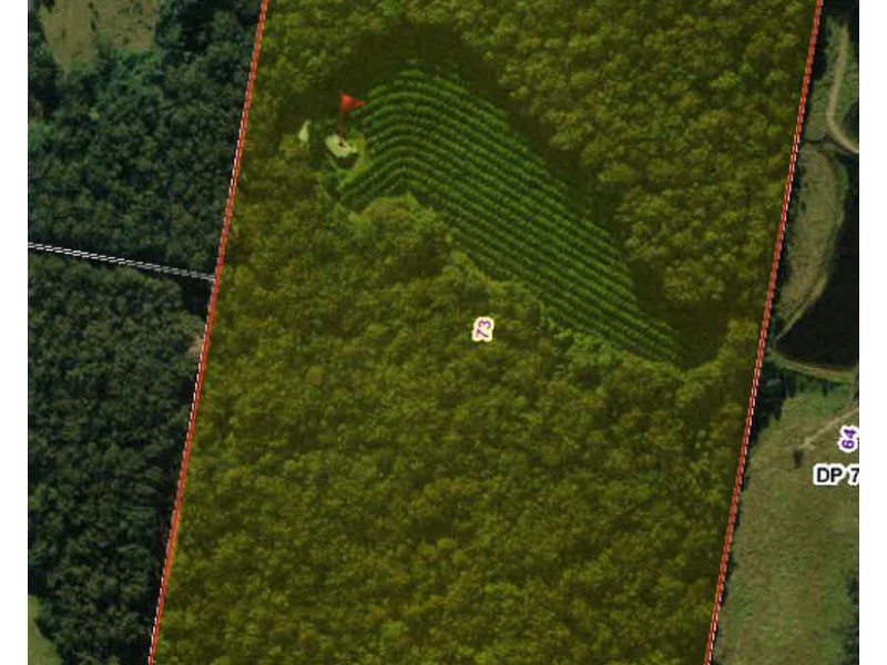 137 Browns Road, Yarrahapinni NSW 2441