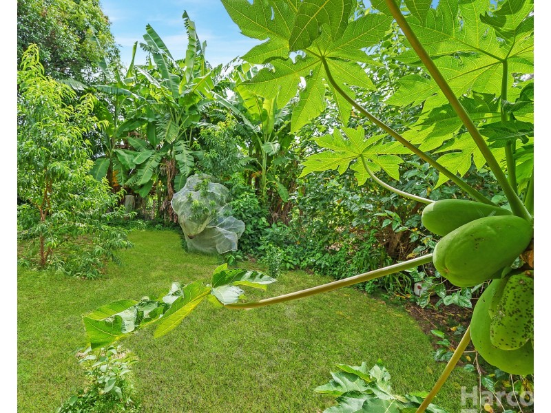 212 Hewens Road, Brombin NSW 2446