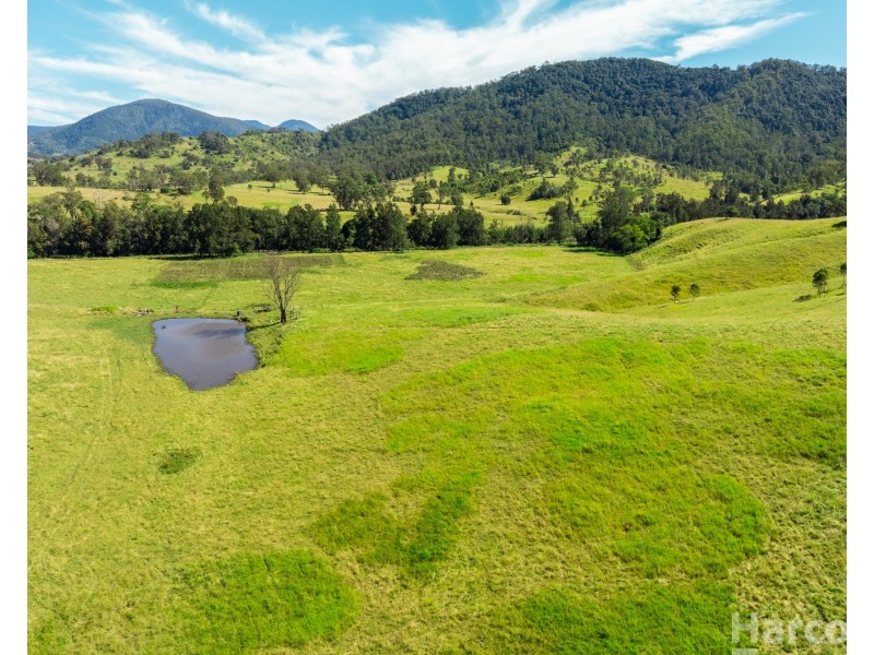 7401 Oxley Highway, Mount Seaview NSW 2446