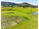 7401 Oxley Highway, Mount Seaview NSW 2446