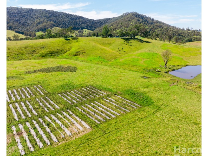 7401 Oxley Highway, Mount Seaview NSW 2446