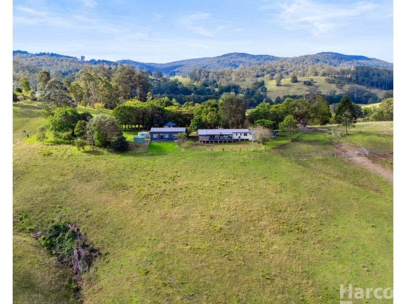 209 Upsalls Creek Road, Upsalls Creek NSW 2439