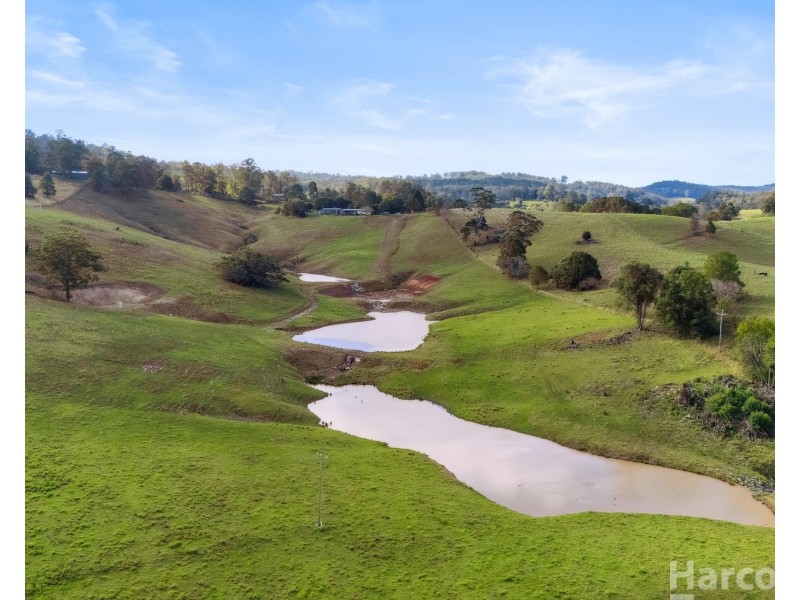 209 Upsalls Creek Road, Upsalls Creek NSW 2439