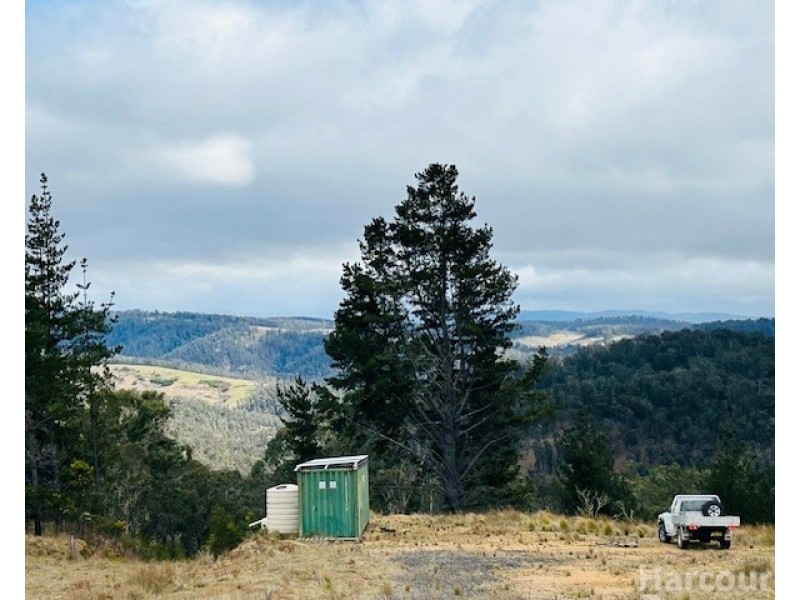 1715 Kangaroo Flat Road, Yarrowitch NSW 2354