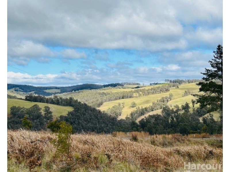 1715 Kangaroo Flat Road, Yarrowitch NSW 2354