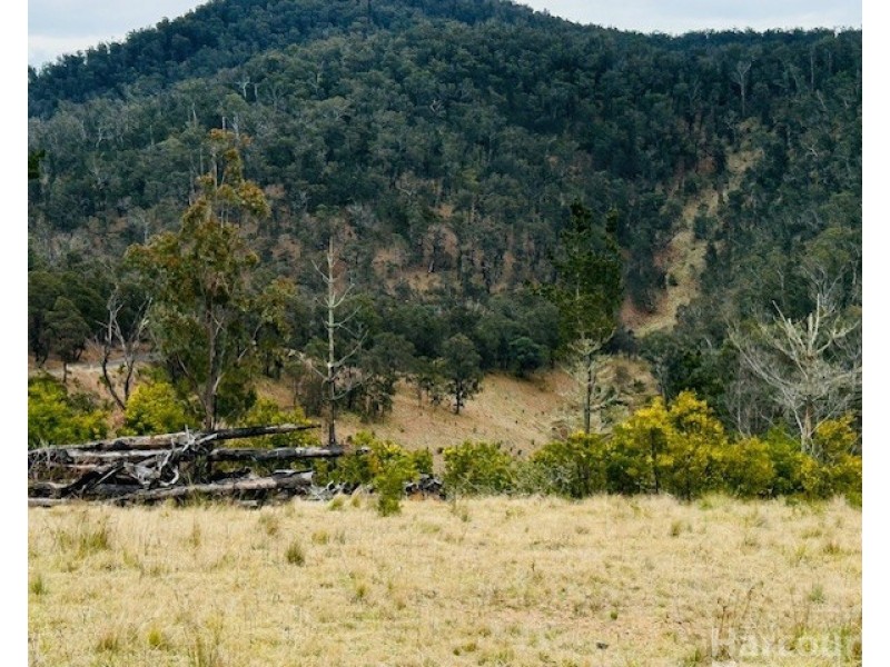 1715 Kangaroo Flat Road, Yarrowitch NSW 2354