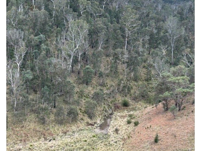 1715 Kangaroo Flat Road, Yarrowitch NSW 2354