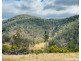 1715 Kangaroo Flat Road, Yarrowitch NSW 2354