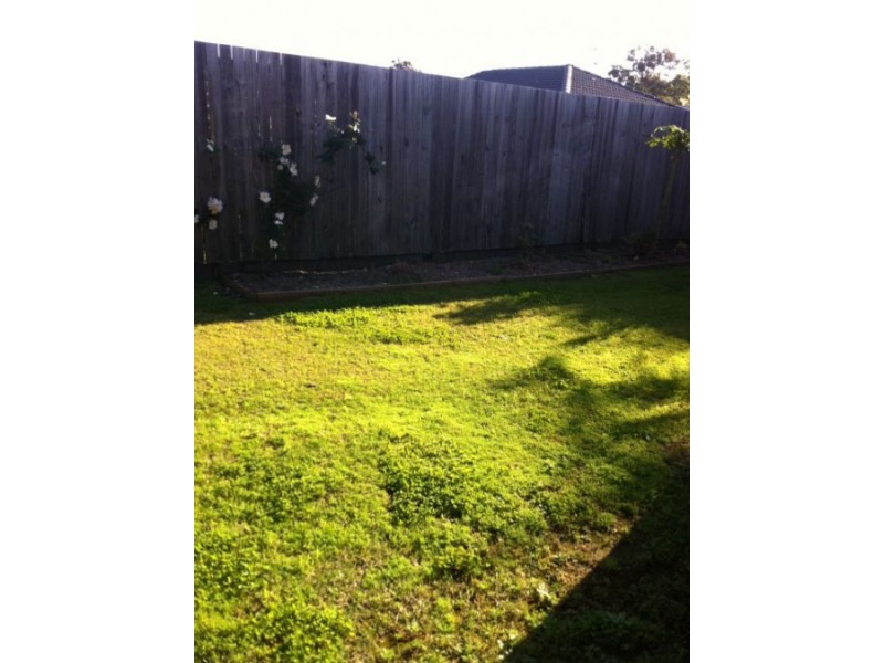 10 Billinghurst Crescent, Upper Coomera QLD 4209