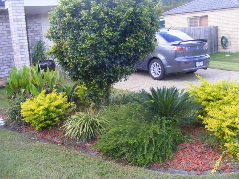 6 Chester Court, Ormeau QLD 4208