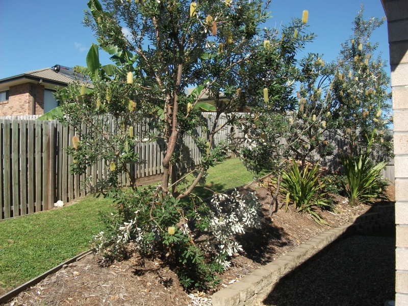 9 Kona Way, Pimpama QLD 4209