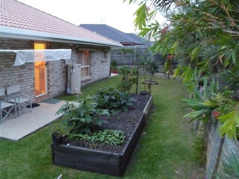 15 Serin Street, Upper Coomera QLD 4209