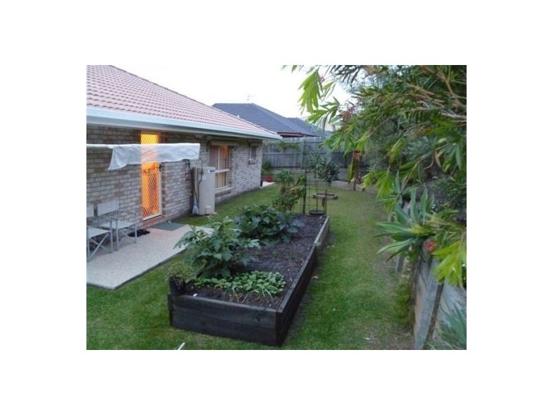 15 Serin Street, Upper Coomera QLD 4209