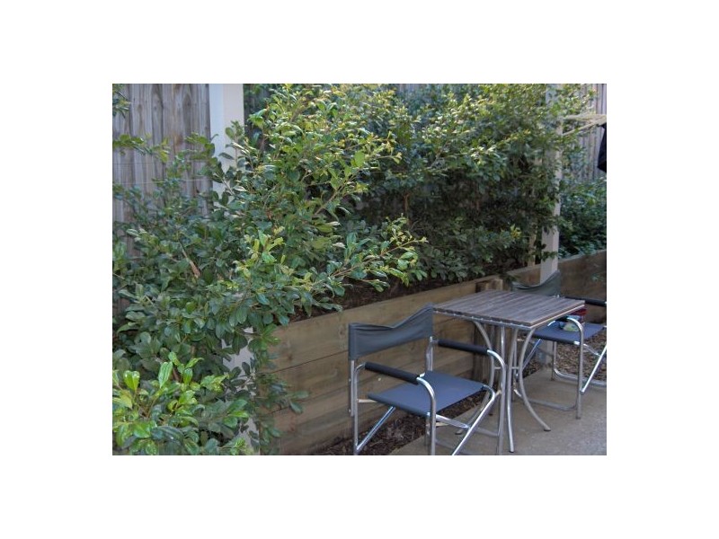 5/32-34 Margaret Street, Southport QLD 4215