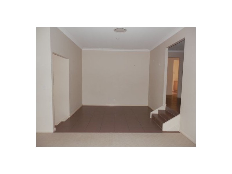 10 Starush Court, Upper Coomera QLD 4209