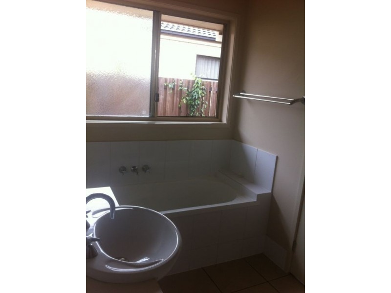 17 Matthews Cresent, Pimpama QLD 4209